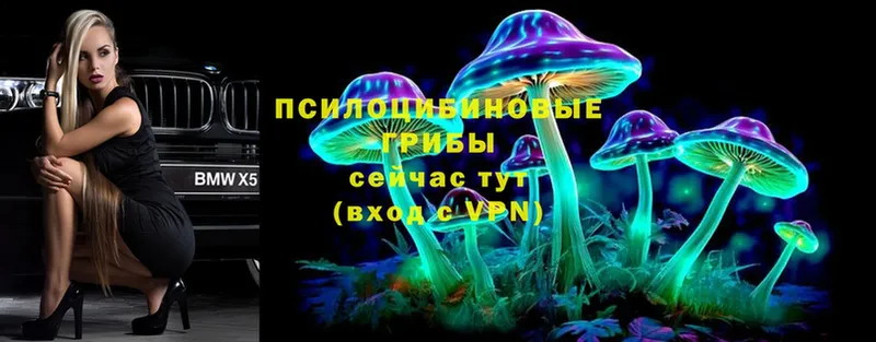 Галлюциногенные грибы Cubensis  Нытва 